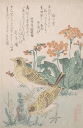 Allodole e primule, ca. 1805-10
