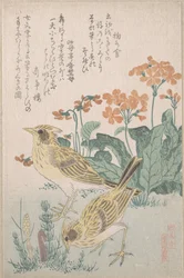 Allodole e primule, dalla serie «Una raccolta di uccelli» (Tori awase), dall