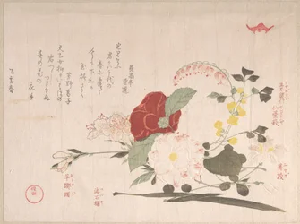 Raccolta della pioggia primaverile (Harusame shū), vol. 2: Fiori recisi: clematide, trifoglio arbustivo, iris, camelia e azalea