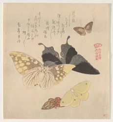 Il manuale di pittura del gregge di farfalle (Guncho? Gafu)