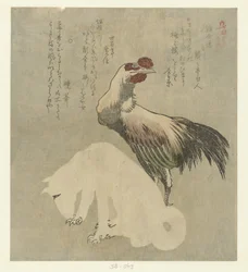 Gallo e cane