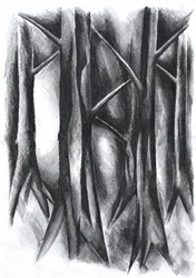 Foresta oscura e misteriosa