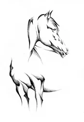 Elegante cavallo astratto