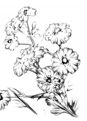 Elegante disegno floreale