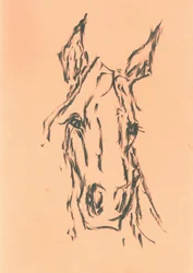 Elegante schizzo di una testa di cavallo