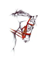 Schizzo di un cavallo con briglie rosse