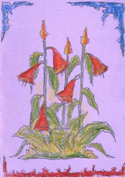 Fiori di un rosso vivace