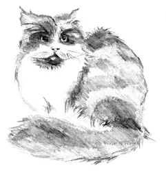 Ritratto stravagante di un gatto soffice