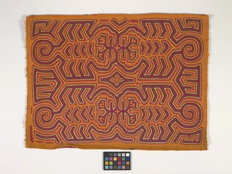 Pannello di camicia (Mola)