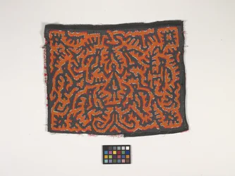 Pannello di camicia (Mola)