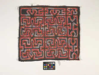 Pannello di camicia (Mola)