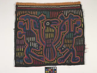 Pannello di camicia (Mola)