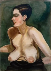 Grande mezzo nudo seduto