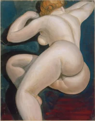 Nudo femminile sdraiato di schiena