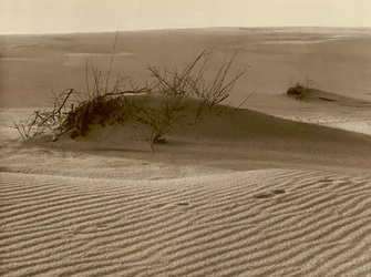 Wanderdune auf der Kurischen Nehrung nordlich von Rossitten