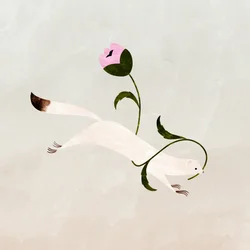 Raccolta dei fiori, 2021