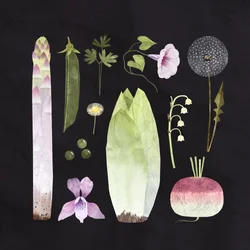 Verdure e fiori, 2023 (digitale)