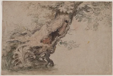 Albero cavo, dopo Roelant Savery