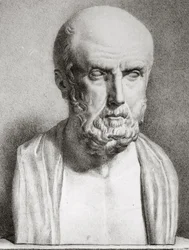 Ritratto di Ippocrate (dettaglio)