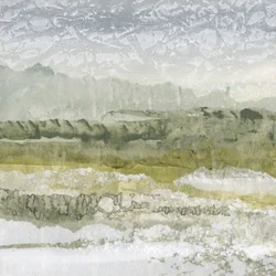 Paesaggio verde nebbioso