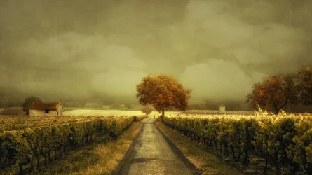 Strada dei vigneti d