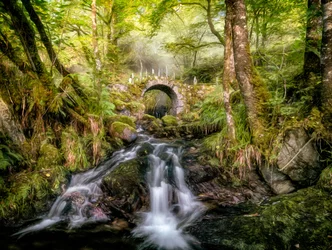 Ponte sul ruscello della Foresta Incantata