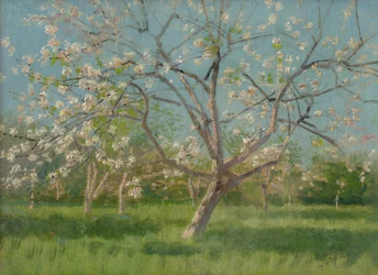 Alberi da frutto in fiore, 1900-10