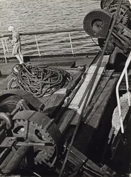Fotoreporter nel Mare Artico del Nord
