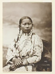 Cerbiatto maculato, sposa Cheyenne, 1879