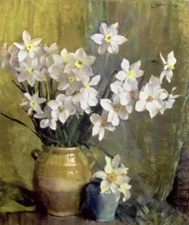 Narciso