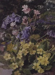 Studio di fiori