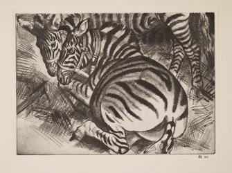 Zebre (pub. 1930)