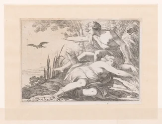 Apollo e Coronis