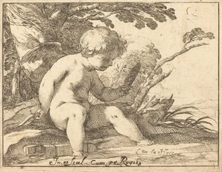 Cupido che si guarda allo specchio