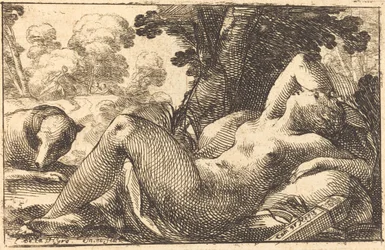 Diana Distesa