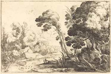 Paesaggio boscoso con un fiume