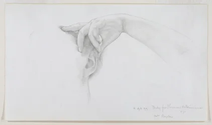 Studio per Thermaie Antoniniane, 1899