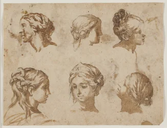 Sei studi di teste femminili