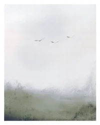 Uccelli che volano sopra un campo, c.2018