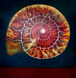 Ammonite, Dorata e Verde