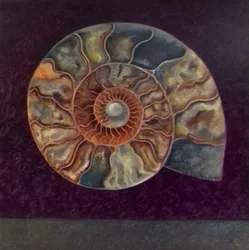 Ammonite, Magenta, 2021