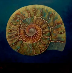Ammonite, oro e verde