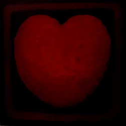 Grande Amore, 2021