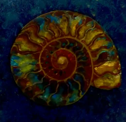 Ammonite Verde Oro, 2020