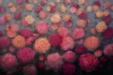 Peonia Penché, 2025 (olio su tela)