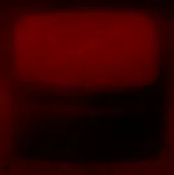 Velluto e Fuoco