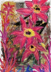 Fiori rosa vivaci