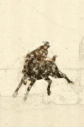 Cavaliere di bronco western