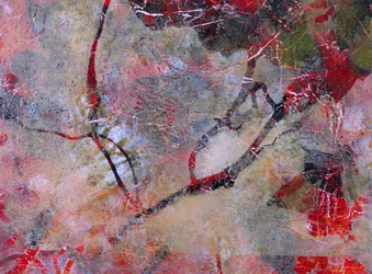 Ciocche rosse biologiche