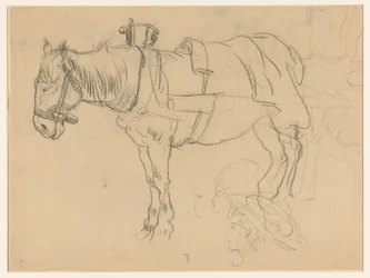 Cavallo attaccato e studi di teste
